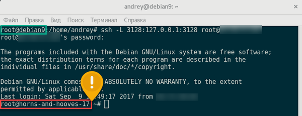 Debian включить ssh в автозагрузку